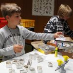 Fossilienpräparation und - wand