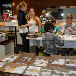 Fossilienpräparation und - wand