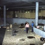 Parkettlegung Kulturmulde