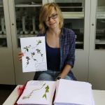 Herbarium