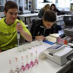 Fotometrische Nitritbestimmung im Schullabor