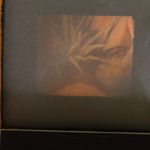 Die Abbildungsleistung der selbst gebauten Kamera