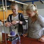 Komplexometrische Calciumbestimmung in Milchproben unterschiedlicher Herkunft