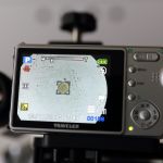 Mikroskopische Aufnahme eines Pollenkorns