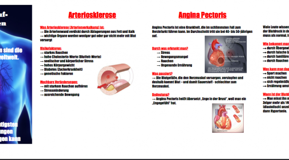 Projekt "Herz-Kreislauf-Erkrankungen und ihre Vorbeugung" Projekt "Herz-Kreislauf-Erkrankungen und ihre Vorbeugung"