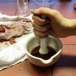 Extraktion von Pflanzenfarbstoffen