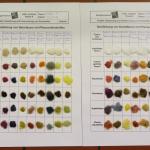 Beizfärbung von Natur- und Kunstfasern