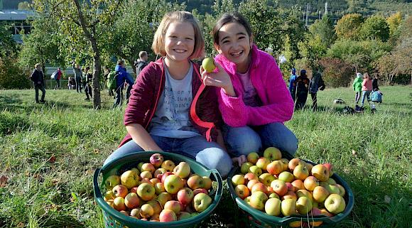 WeG-Apfelsaft 2015 ist abgefüllt