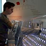 Das Periodensystem zum Anfassen. Einzelne Elemente können mittels Schutzhandschuh in die Hand genommen und somit direkt untersucht werden.