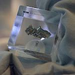 Das Periodensystem zum Anfassen. Einzelne Elemente können mittels Schutzhandschuh in die Hand genommen und somit direkt untersucht werden.