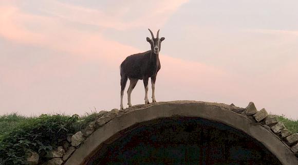 Kennenlerntage der fünften Klassen