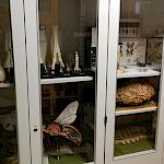 Sammlung Biologie im Gang Kurs B