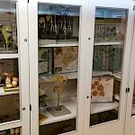 Sammlung Biologie im Gang Kurs B