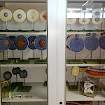 Sammlung Biologie im Gang Kurs B