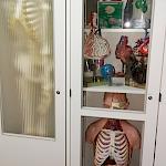 Sammlung Biologie im Gang Kurs B