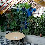 Cafeteria in der Mensa