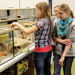 Tierpflegerinnen bei der AG-Arbeit