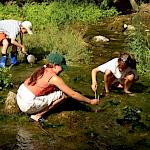 Projekt Gewässeruntersuchung PGK