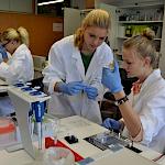 Projekt Molekulargenetik, Kurs B